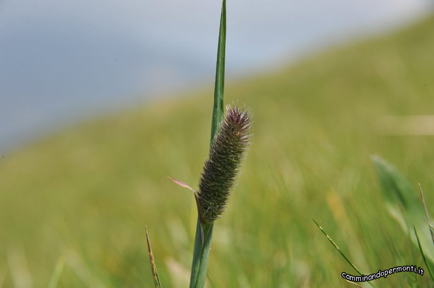 023 Periplo del Grem.JPG